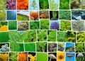 Nature & Wildlife