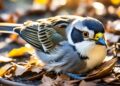 Nature & Wildlife